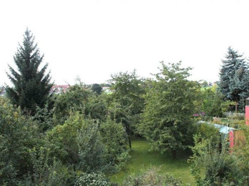 Exklusive Ferienwohnung An Der Elbe Dresde Extérieur photo